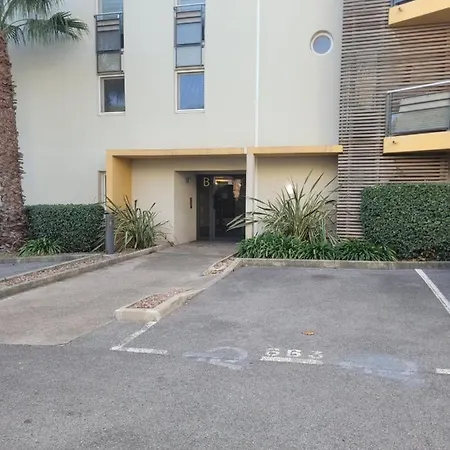 Apartment Le Palmier D'azur - Cais - Wi-fi *